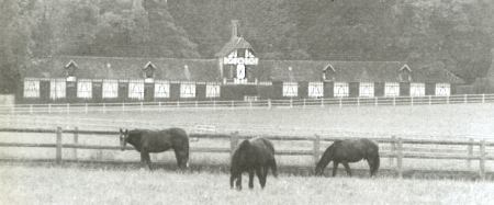 Haras de Fresnay