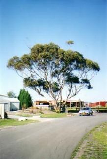St. Albans cemetery today