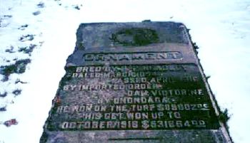 Ornament's grave